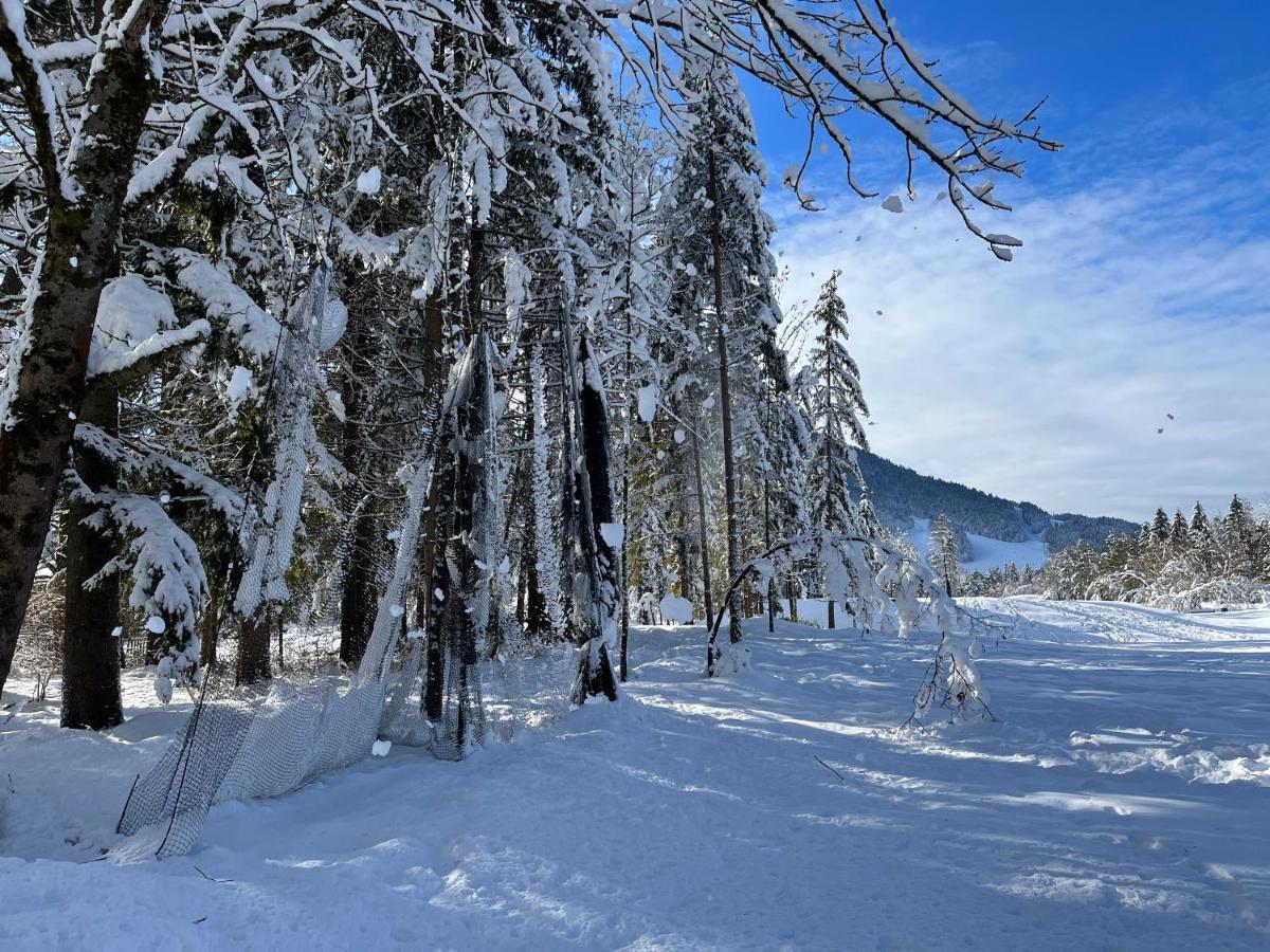 Apartma Anastasija Kranjska Gora Exteriér fotografie
