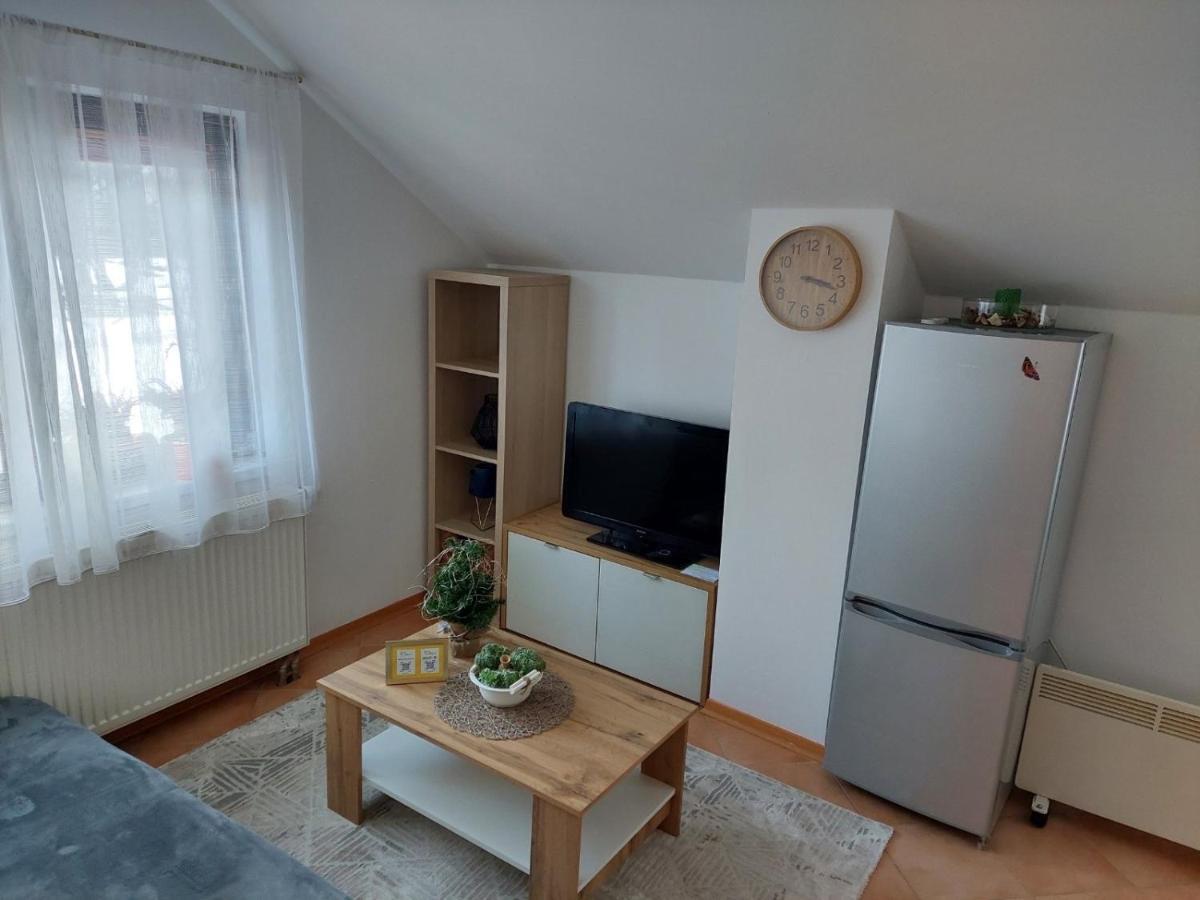Apartma Anastasija Kranjska Gora Exteriér fotografie
